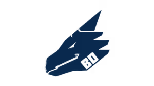 Bad Dragon logo featuring stylized navy dragon head with BD text
